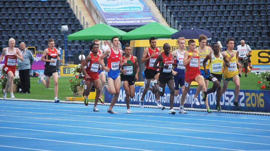 Bibićevih devet blistavih dana 1