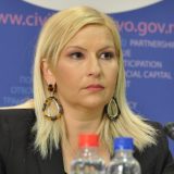 Radna grupa za obilaznicu 11