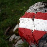 Ustavni sud poništio izbore za predsednika Austrije 5