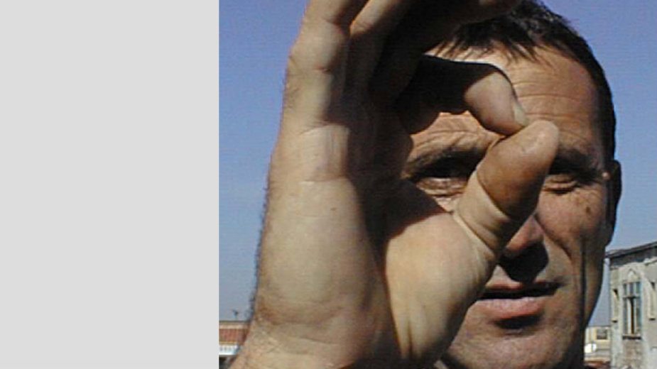 Jubilarni Šumes Porodice bistrih potoka 1 Jubilarni Šumes Porodice bistrih potoka 1