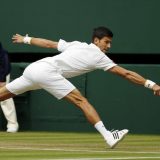 Novak Đoković i Serena Vilijams najbolji teniseri 2015. godine 14