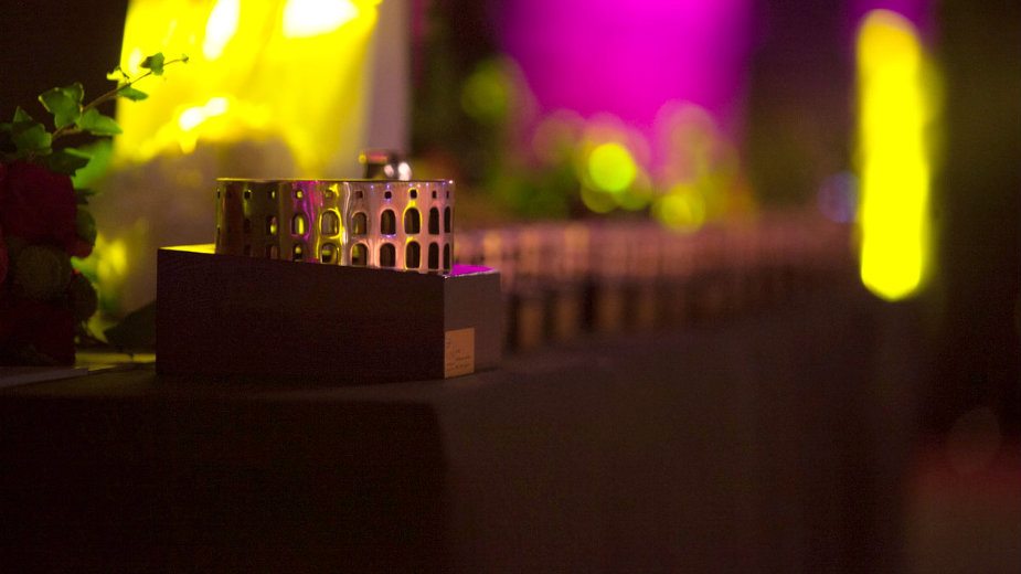 "Dobra žena" u konkurenciji za Zlatnu arenu 1