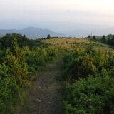 Mreža za restituciju: Uvesti supstituciju za sve vrste zemljišta 5