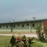 Prvo pod tuš, tek onda u svinjac 3