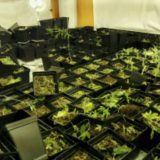 Oko 275 miliona ljudi u svetu koristilo drogu barem jedanput 2