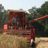 Za izvoz oko dva miliona tona hlebnog žita 5