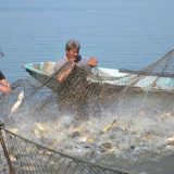 AD Ečka: Bez struje ribnjak, hotel i izletište 13