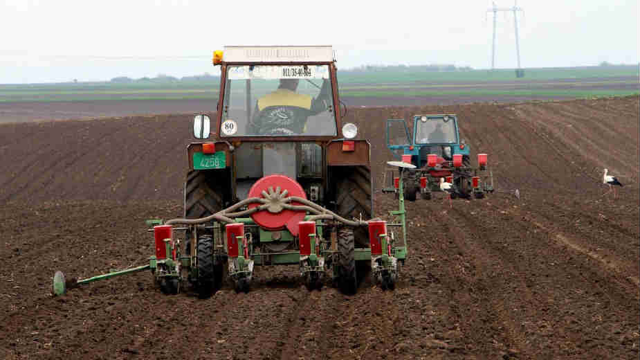 U Srbiji dominira mali posed, zadrugarstvo pravo rešenje 1