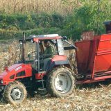 Kiše pogoduju kukuruzu 3