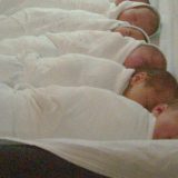 Redovna dezinsekcija na GAK "Narodni front" 13