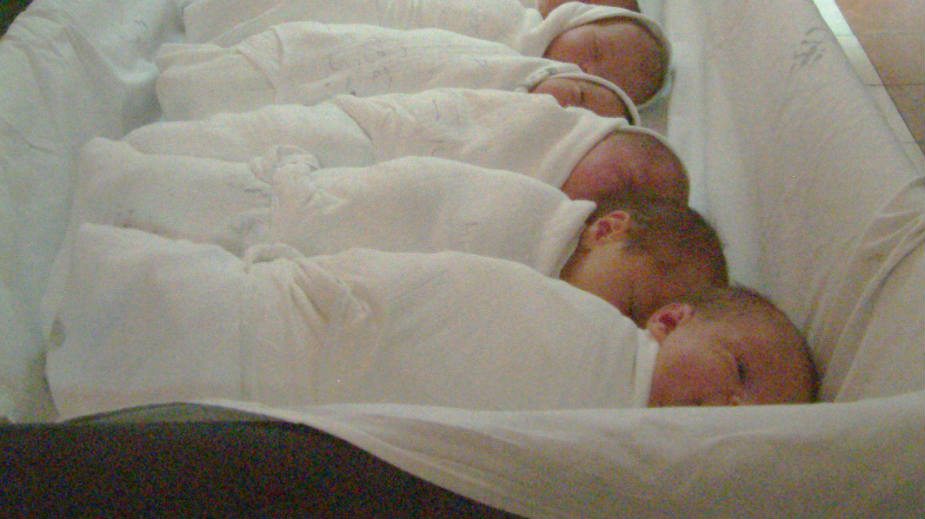 Redovna dezinsekcija na GAK "Narodni front" 1