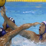 Nikić: Poslednja šansa da se skupimo 1