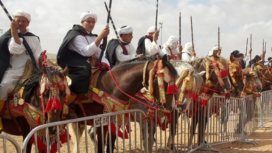 Sahara (6): Ljubav prema konjima 1