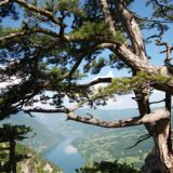 Šta vam je potrebno da se prijavite za vaučer od 15.000 dinara i ko ga sve može koristiti? 5