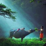 Dobrota - neprevaziđena životna veština 5