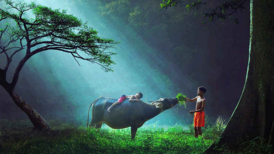 Dobrota - neprevaziđena životna veština 1 Dobrota - neprevaziđena životna veština 1