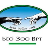 Vučica pronađena u Mirijevu smeštena u Zoološki vrt 9