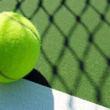 Čilić osvojio Sinsinati 7