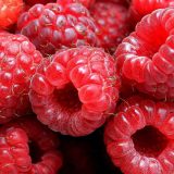 Malina - idealno voće za zdravo srce i gubitak kilograma 15