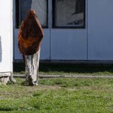 Tri obnovljena objekta za azilante 15