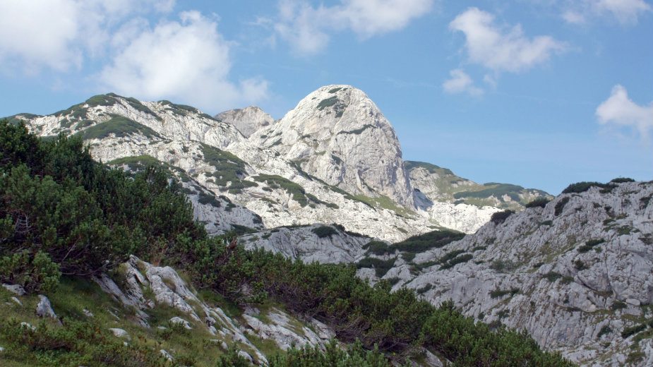 Veselin Vukićević: Organska proizvodnja i turizam su naši glavni aduti 1