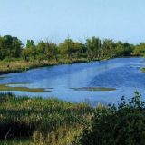 Jubilarni susret planinara Srbije na Carskoj bari 9