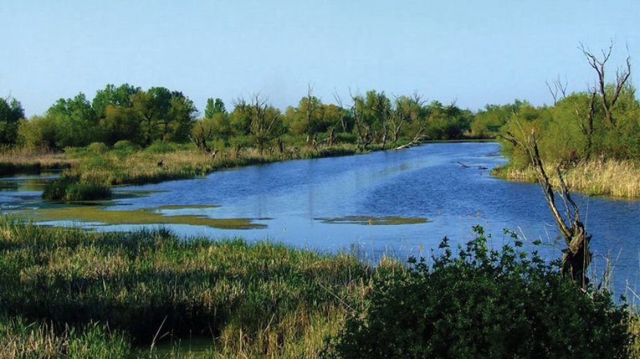 Jubilarni susret planinara Srbije na Carskoj bari 1