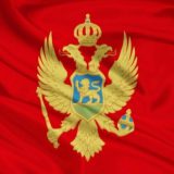 Brojni izazovi za profesionalni rad i ekonomski opstanak novinara i medija u Crnoj Gori 12