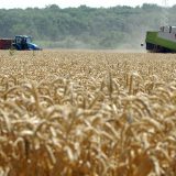 Subvencije krojene po meri tajkuna i veleposednika 8