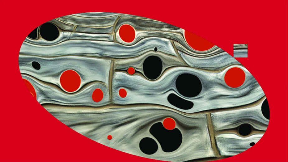 Pesnička knjiga godine u Makedoniji 1