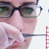 Genetička modifikacija - od ideje do realizacije 3