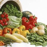 Salmonela u lažnoj Vegeti 2