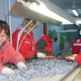 Pankomerc na prevaru pokušao da proda Budimku 14