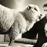 Malena Dejzi, budimo nežni 10