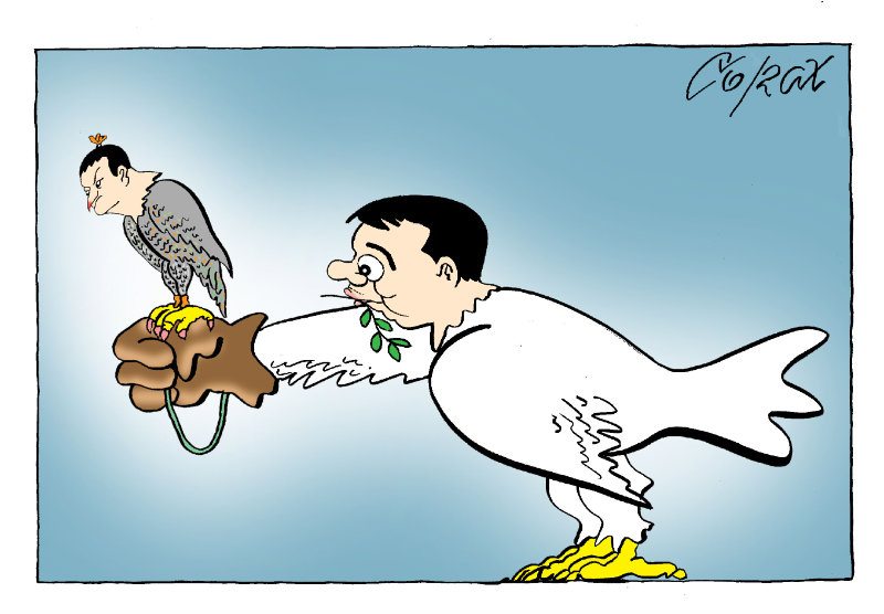 Corax 11