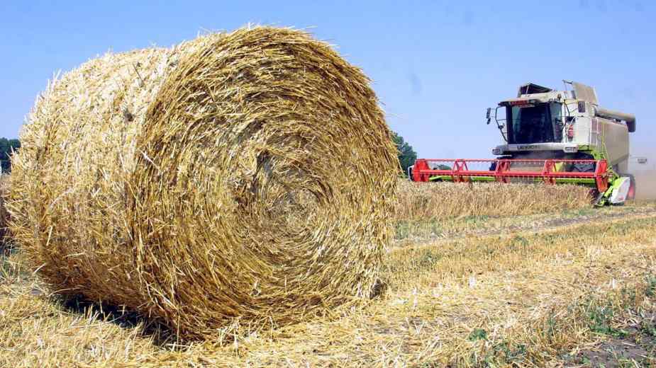 PKB će sačuvati osnovnu delatnost 1