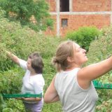 Za nadničenje u njivi uskoro staž i zdravstveno 15