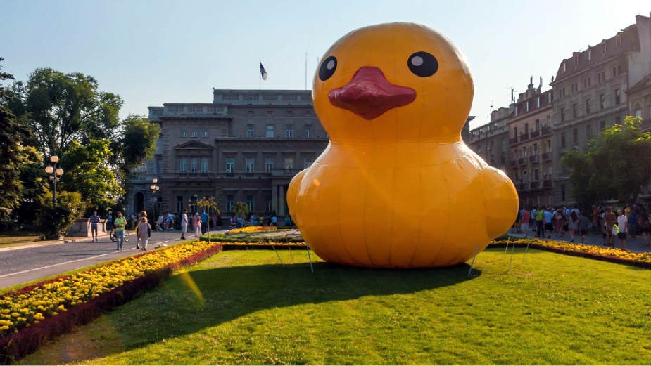 Izmeštanje prevoza neodgovorna odluka 1