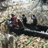 Opet bez krivca za pomor riba 4