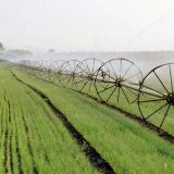 U agrobiznis uloženo oko 2,2 milijarde evra 15