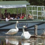 Od subote "Ptice nikada bliže" 7