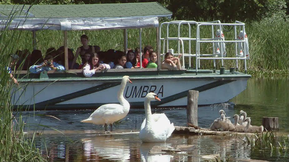 Od subote "Ptice nikada bliže" 1