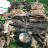 Pasuljijada ovog vikenda na čenejskom Salašu 137 4