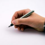 Politikantski egzibicionizam Nedima Sejdinovića 15