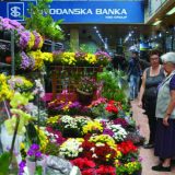 Organska poljoprivreda glavna tema 11