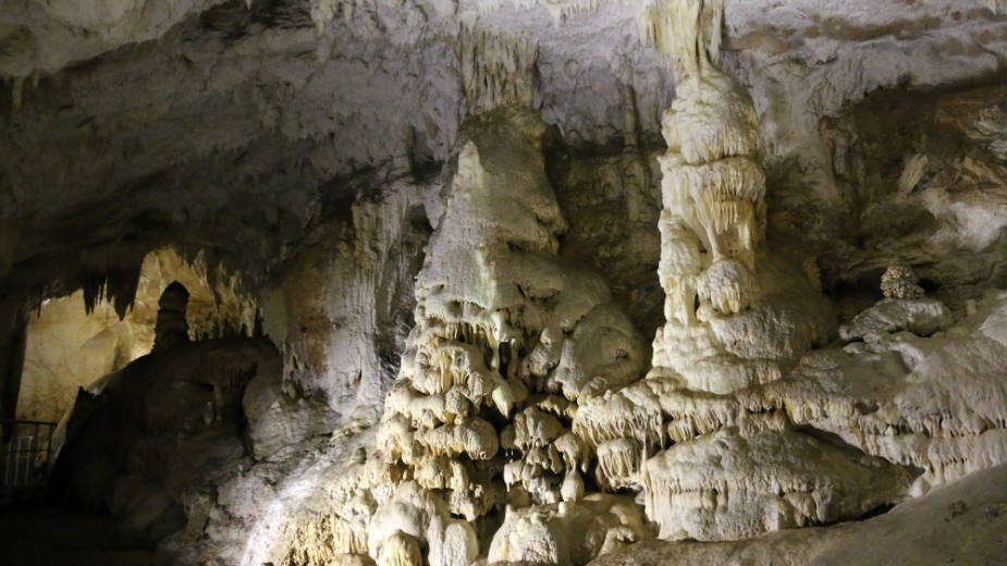 Dunav, arheologija i prirodne retkosti 1