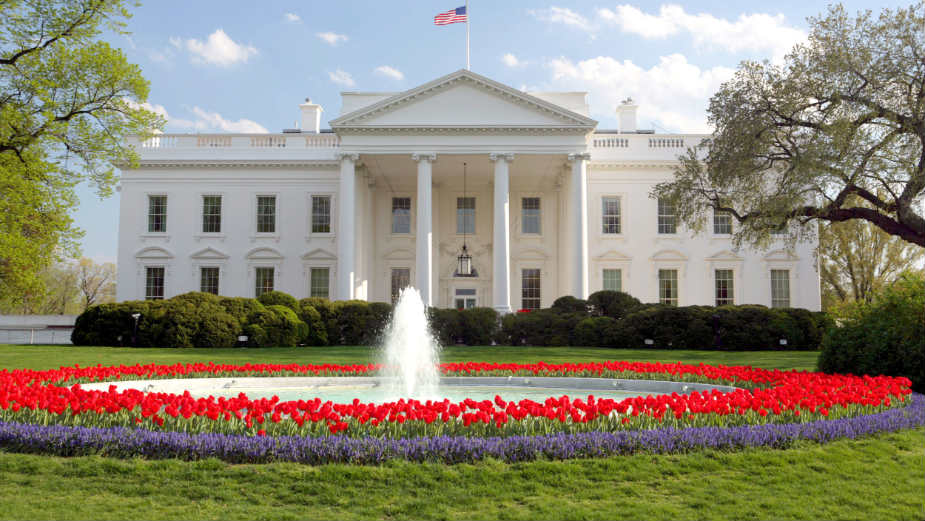 Šta čini predsednika SAD tako dominantnim u oblasti spoljne politike? 1