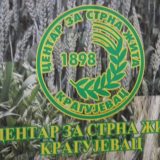 Zaposleni tužili grad zbog zaostalih zarada 8