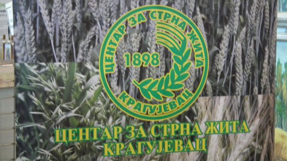 Zaposleni tužili grad zbog zaostalih zarada 1