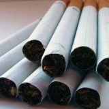 Kamiondžija pokušao da prošvercuje 45.000 paklica cigareta s Kosova 3